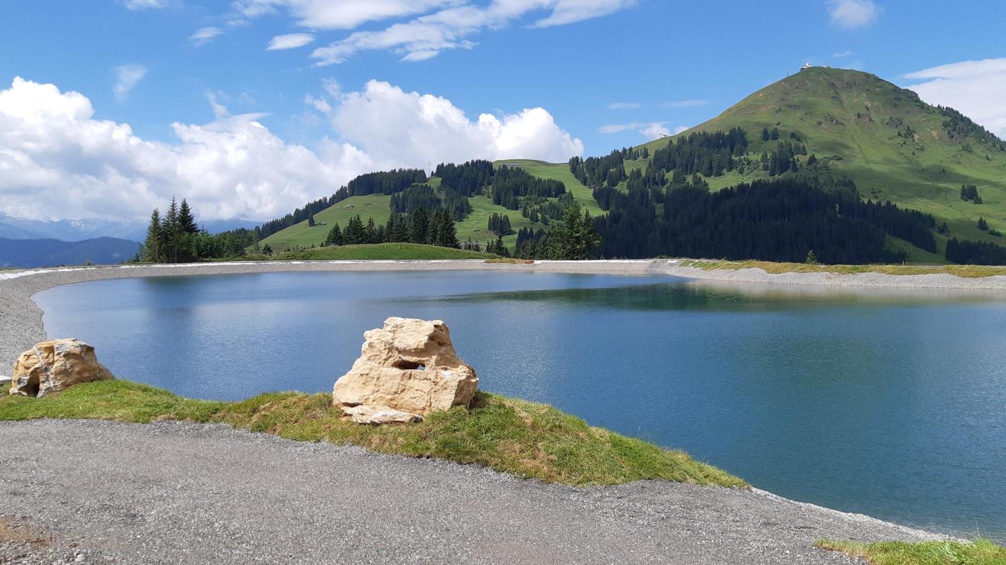 Skiwelt-lodge